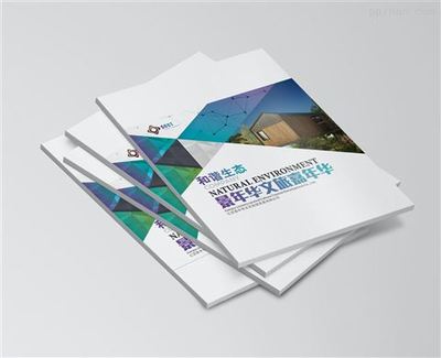 專業(yè)設(shè)計(jì)服務(wù) 打造品牌視覺形象