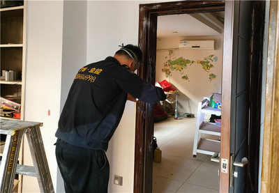 深圳白蟻防治 專業服務守護家居與建筑安全